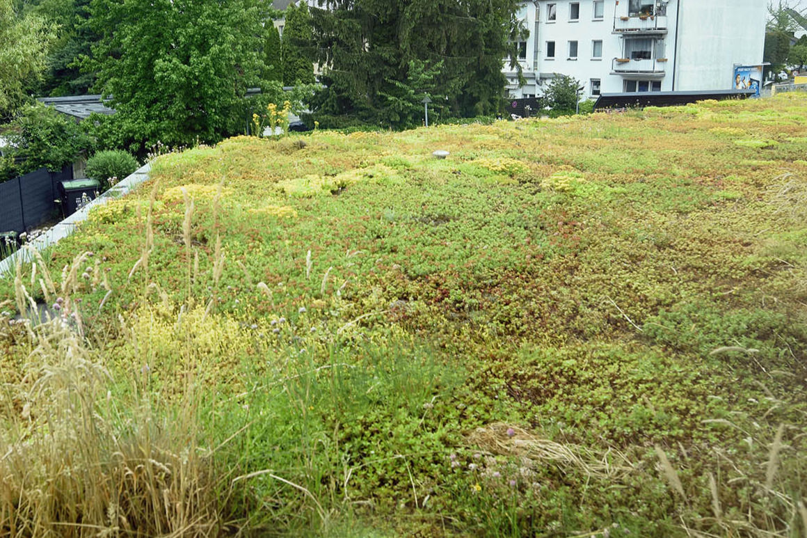 Kieferorthopädische Fachzahnarztpraxis in Mülheim an der Ruhr
