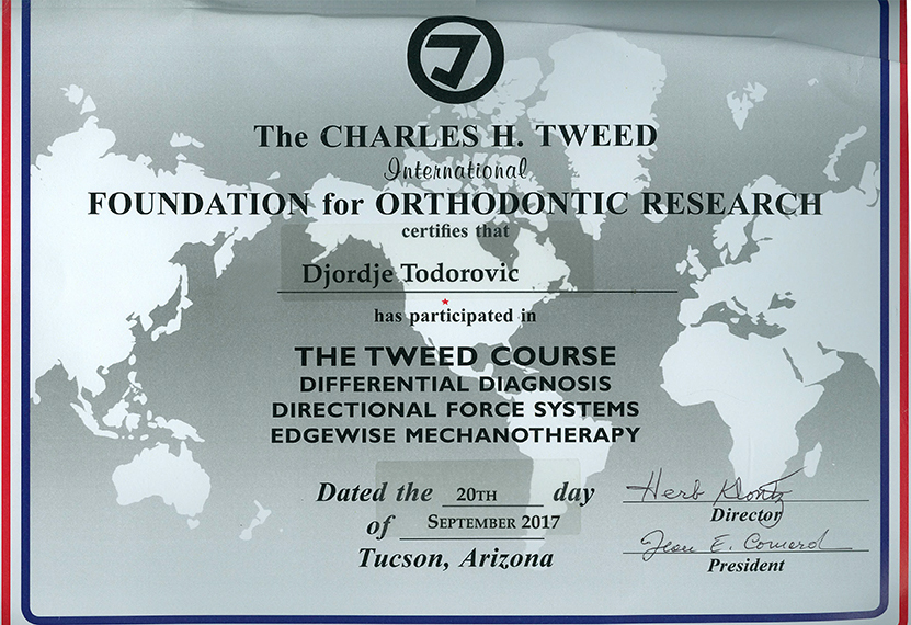 Differential diagnosis directional force systems edgewise mechanotherapy